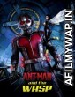 AntMan and the Wasp (2018) Hindi Dubbed Movie