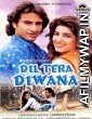 Dil Tera Diwana (1996) Hindi Full Movie