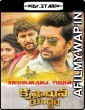 Krishnarjuna Yuddham (2018) UNCUT Hindi Dubbed Movie