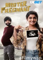 Mr Pregnant (2023) HQ Hindi Dubbed Movies